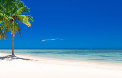 A beach with palm trees and blue water